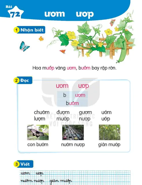 Bài 72: ươm ươp