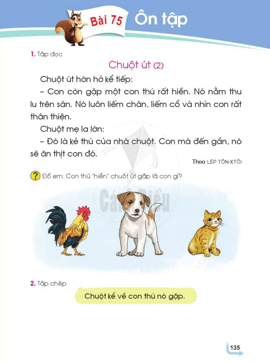 Bài 75: Ôn Tập