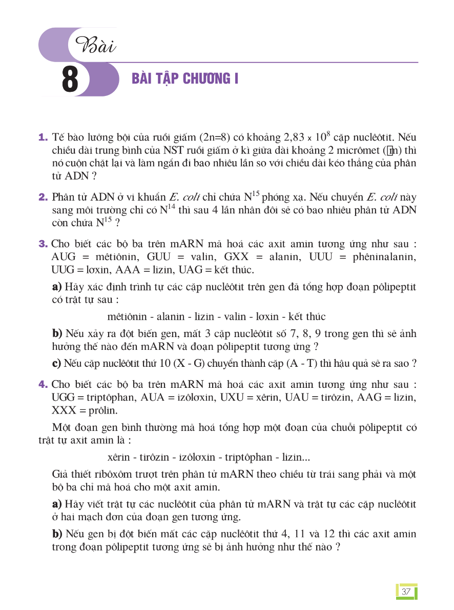 Bài 8: Bài Tập Chương I
