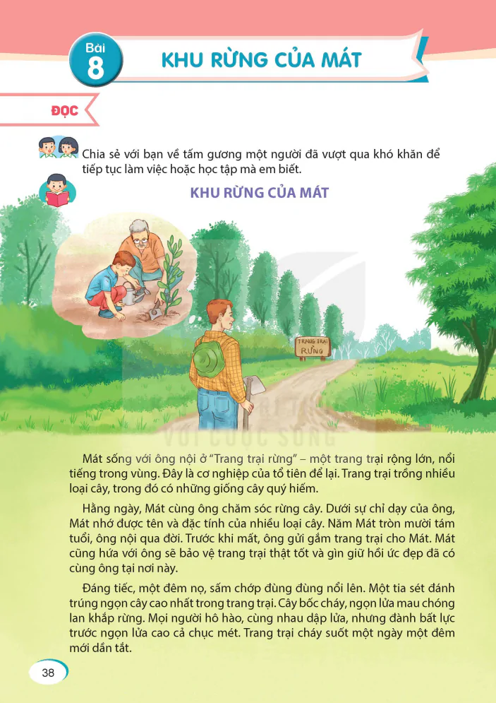 Bài 8: Khu Rừng Của Mát