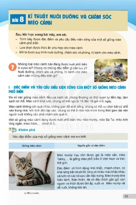 Bài 8: Kĩ Thuật Nuôi Dưỡng Và Chăm Sóc Mèo Cảnh