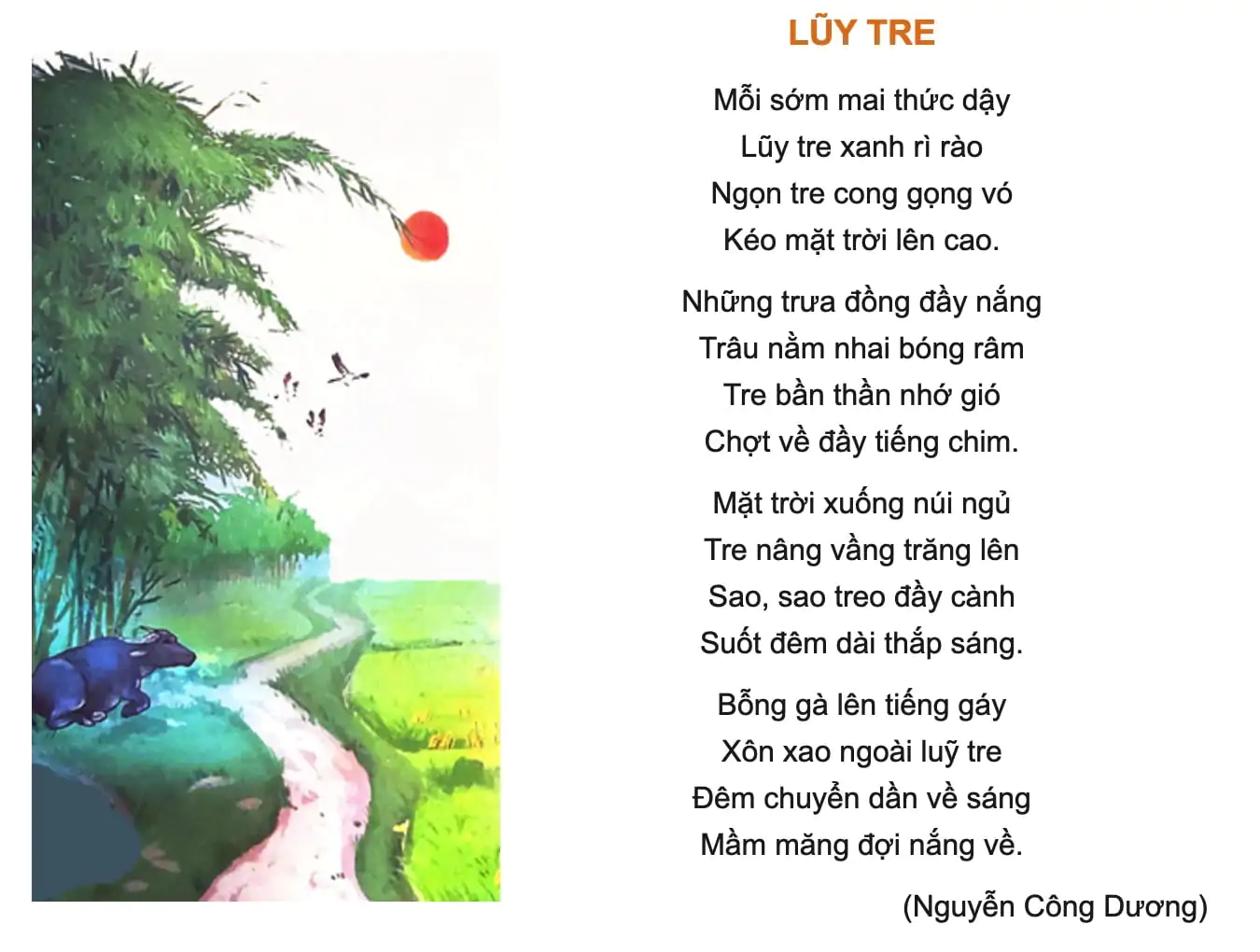 Bài 8: LŨY TRE