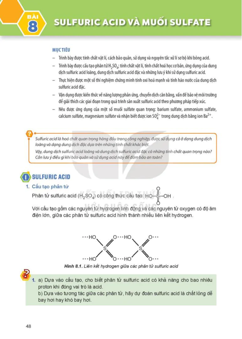 Bài 8: Sulfuric acid và muối sulfate