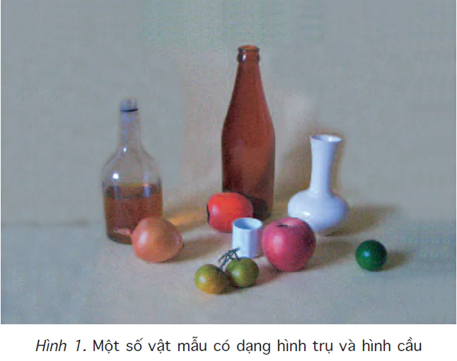 Bài 8. Vẽ theo mẫu - Mẫu vẽ có dạng hình trụ và hình cầu