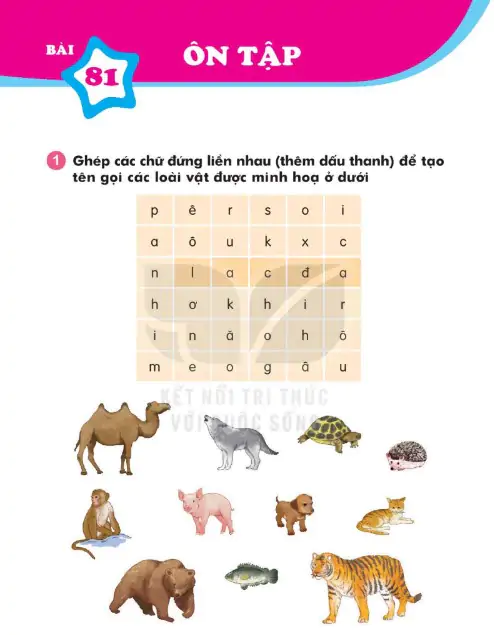 Bài 81: Ôn Tập