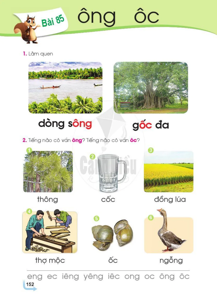 Bài 85: ông ôc