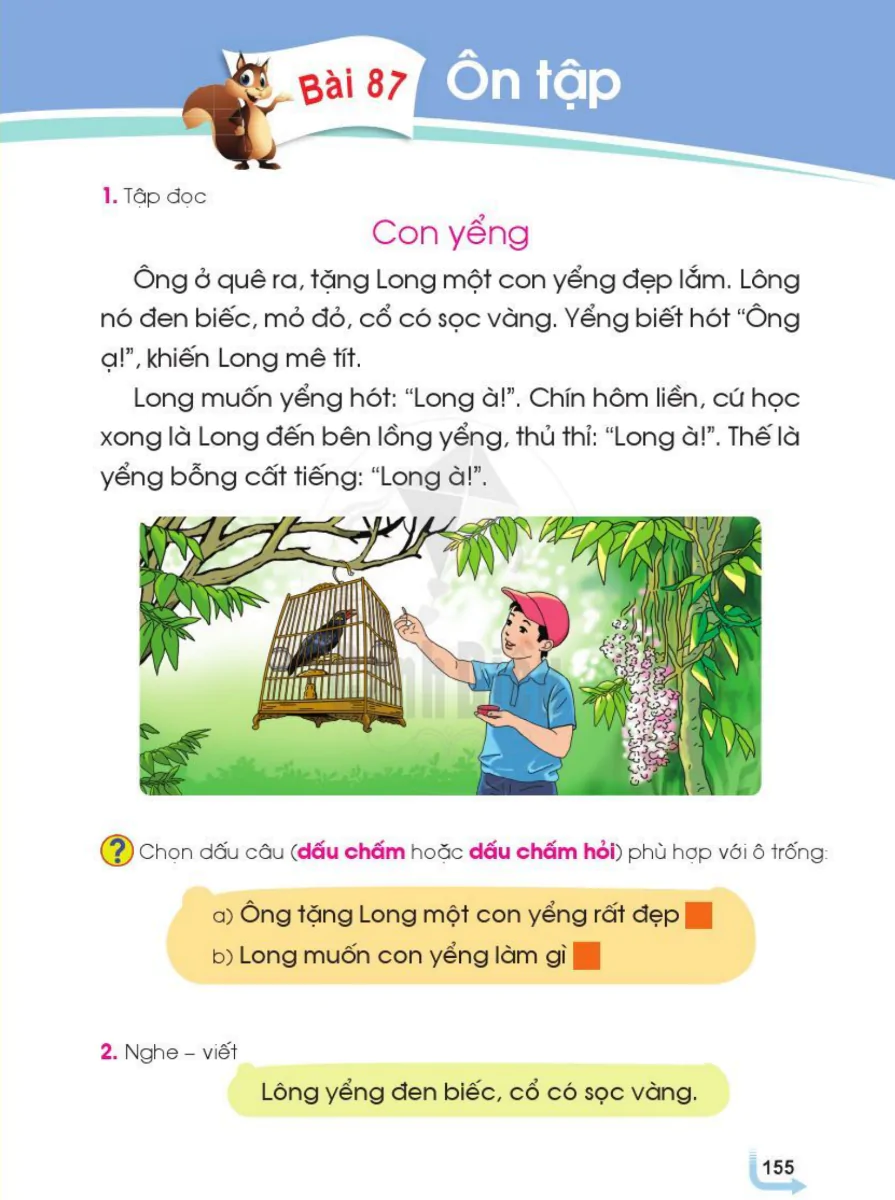 Bài 87: Ôn Tập