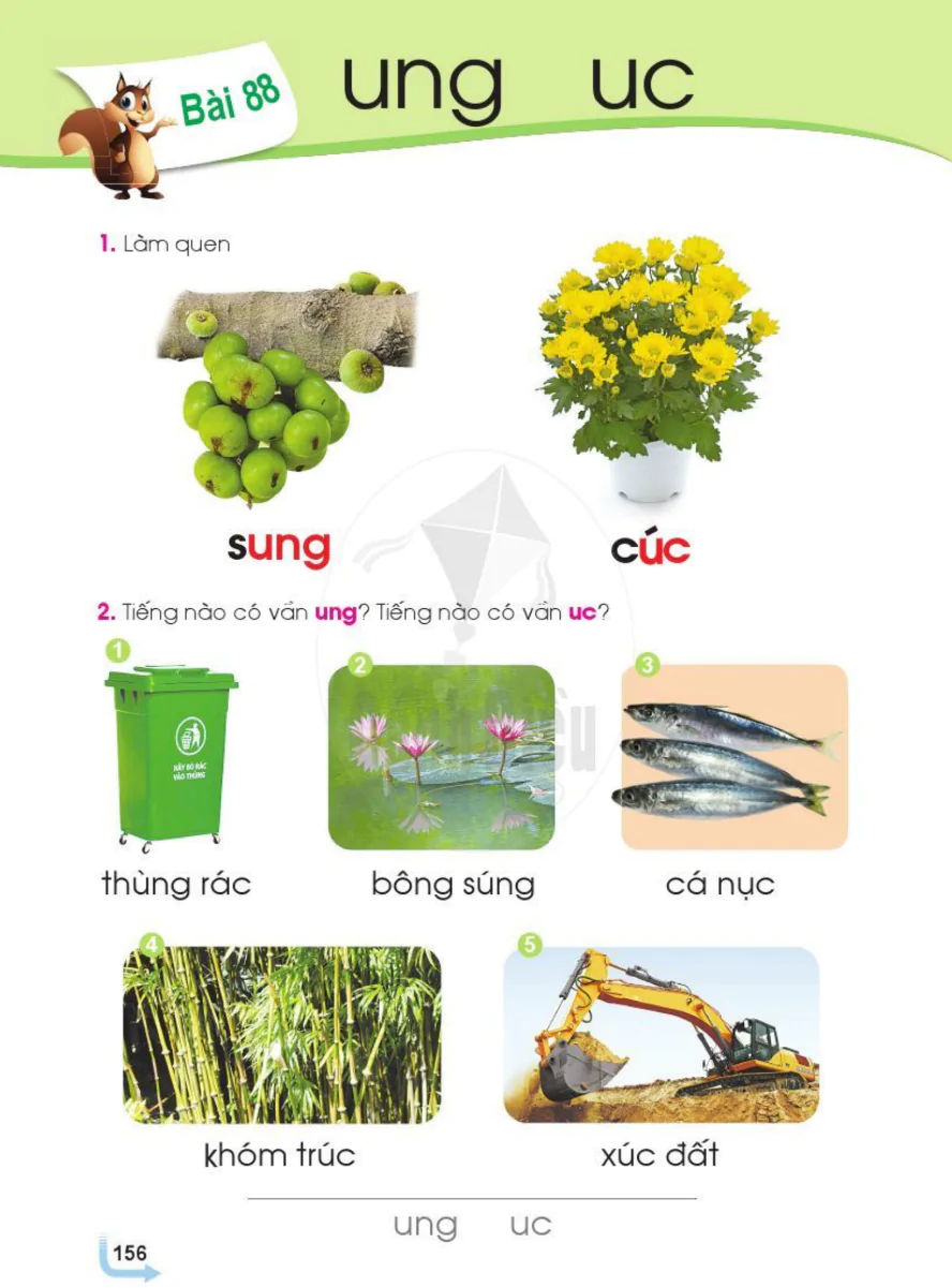 Bài 88: ung uc