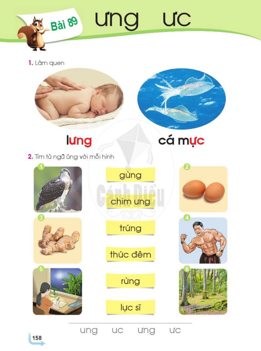 Bài 89: ưng ưc