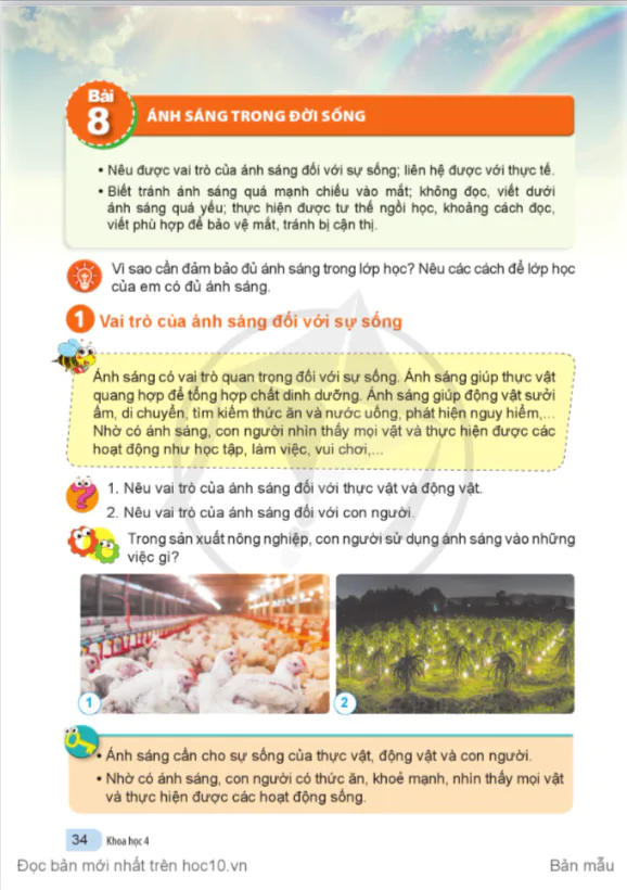 BÀI 8:ÁNH SÁNG TRONG ĐỜI SỐNG