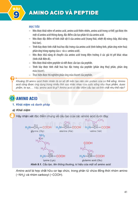BÀI 9: AMINO ACIDS AND PEPTIDES