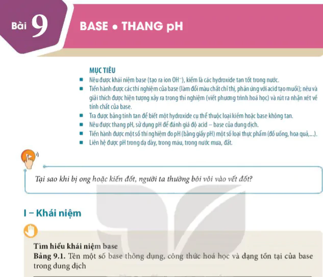 Bài 9: Base. Thang pH