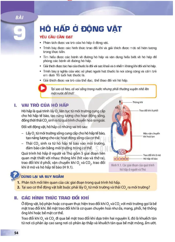 BÀI 9: HÔ HẤP Ở ĐỘNG VẬT