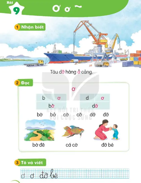 Bài 9: Ơ ơ ~