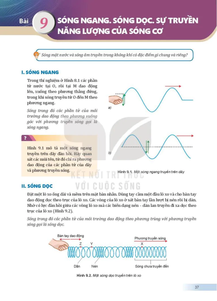 Bài 9: Sóng ngang. Sóng dọc. Sự truyền năng lượng của sóng cơ