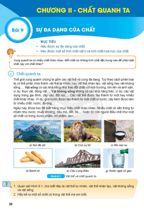 Bài 9: SỰ ĐA DẠNG CỦA CHẤT