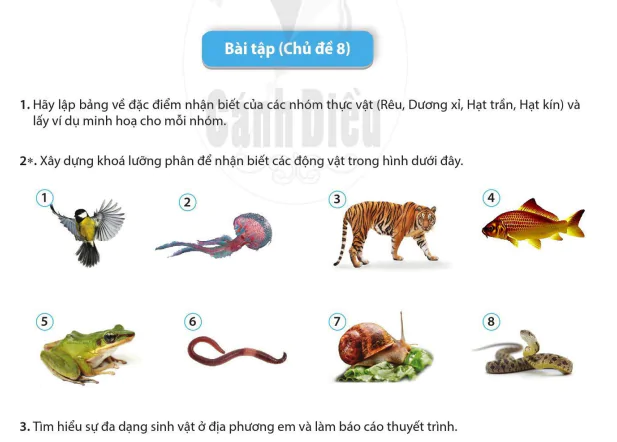 Bài tập (Chủ đề 8)