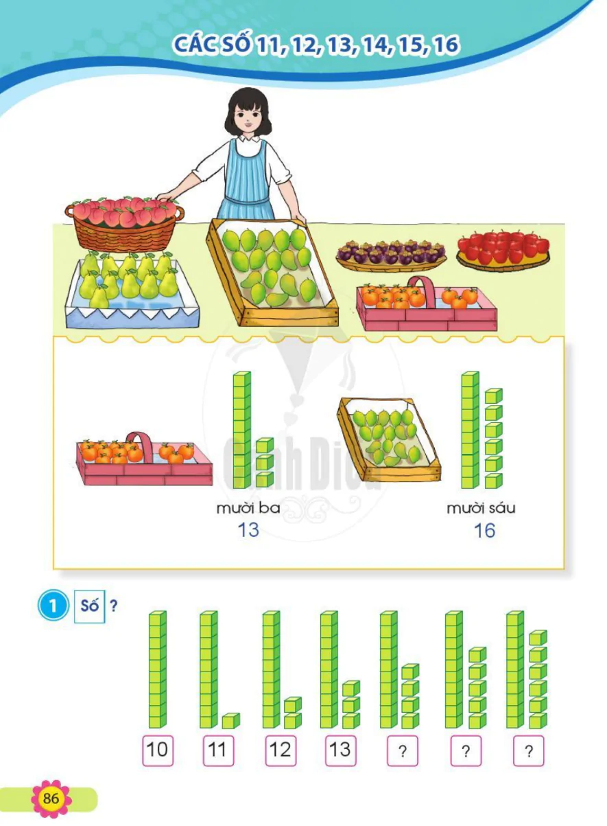 Các Số 11, 12, 13, 14, 15, 16