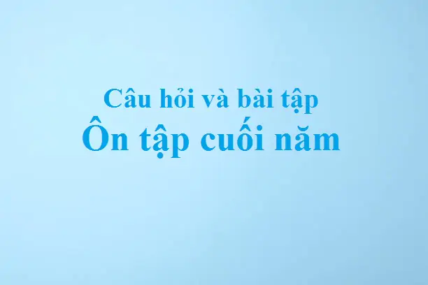 Câu hỏi và bài tập Ôn tập cuối năm