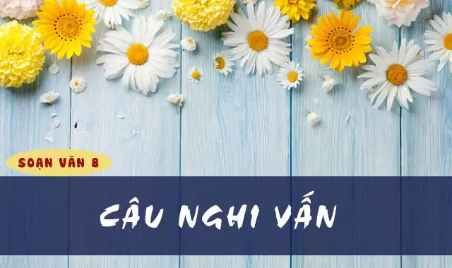 CÂU NGHI VẤN (tiếp theo)