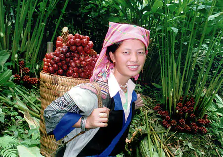 Chính tả (Nghe - viết): Mùa thảo quả 