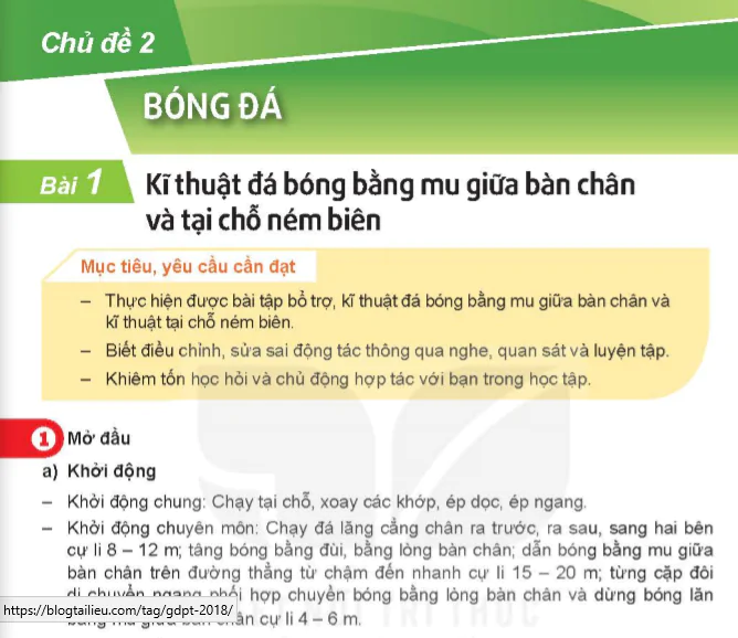 Chủ đề 2: Bóng đá