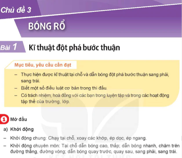 Chủ đề 3: Bóng rổ