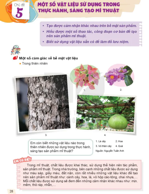 Chủ đề 5: Một số vật liệu sử dụng trong thực hành, sáng tạo mĩ thuật