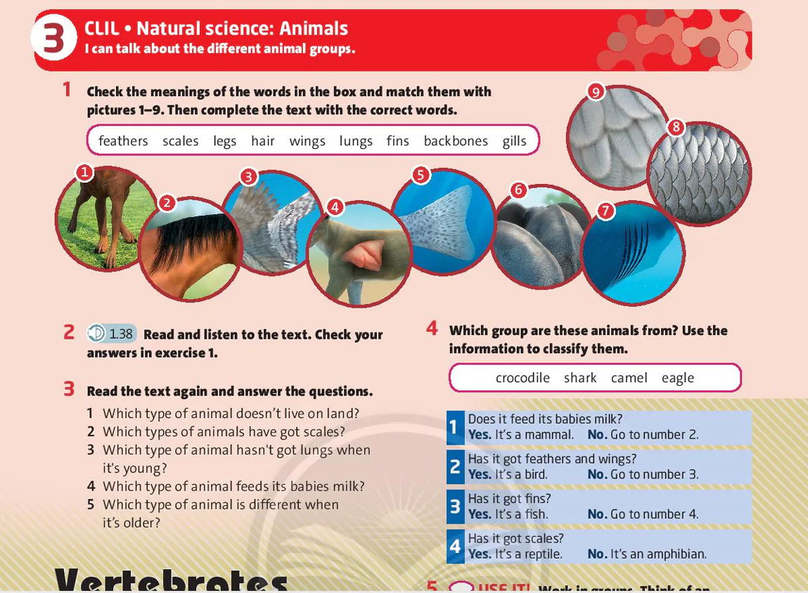CLIL: Natural science: Animals