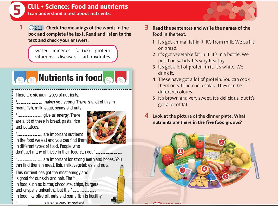 CLIL: Science: Food and nutrients
