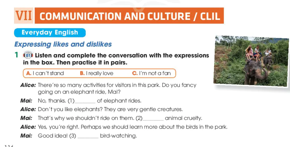 Communication and culture / clil
