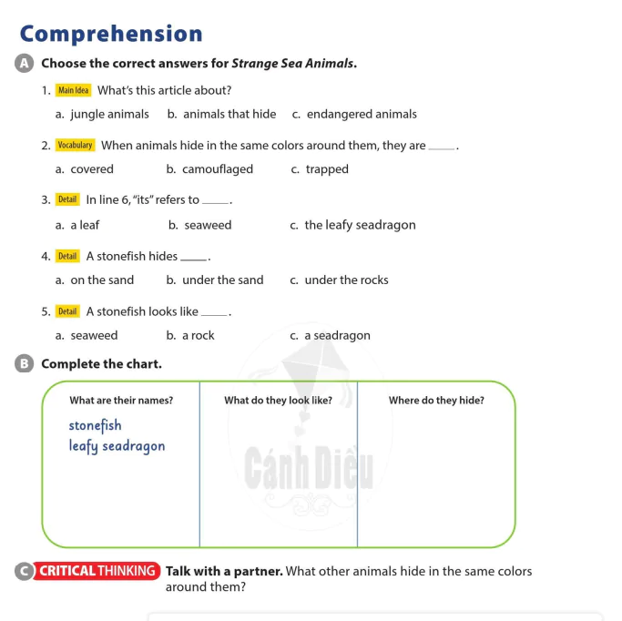 Comprehension
