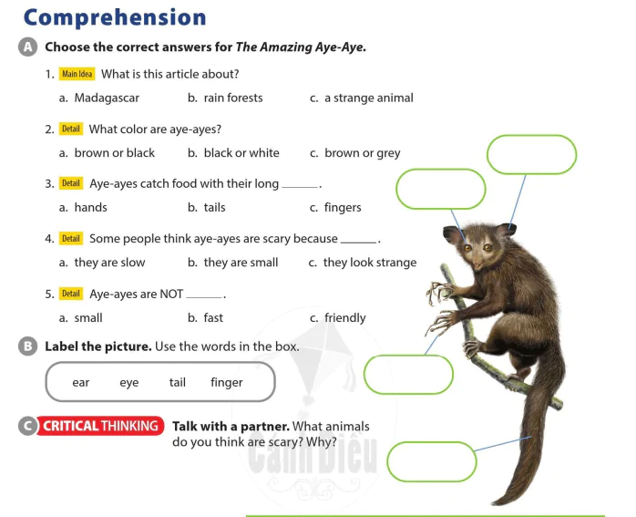 Comprehension