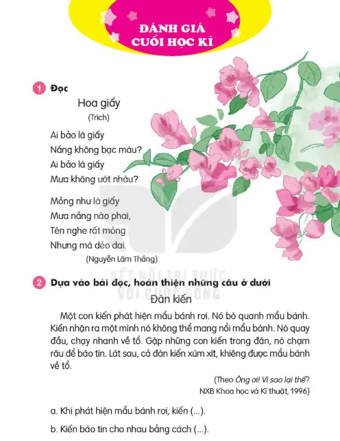Đánh Giá Cuối Học Kì