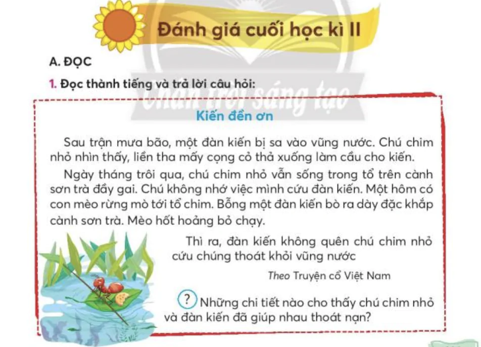 Đánh giá cuối học kỳ II