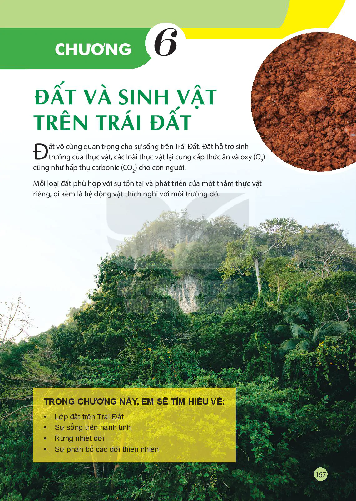 Đất và sinh vật trên Trái Đất