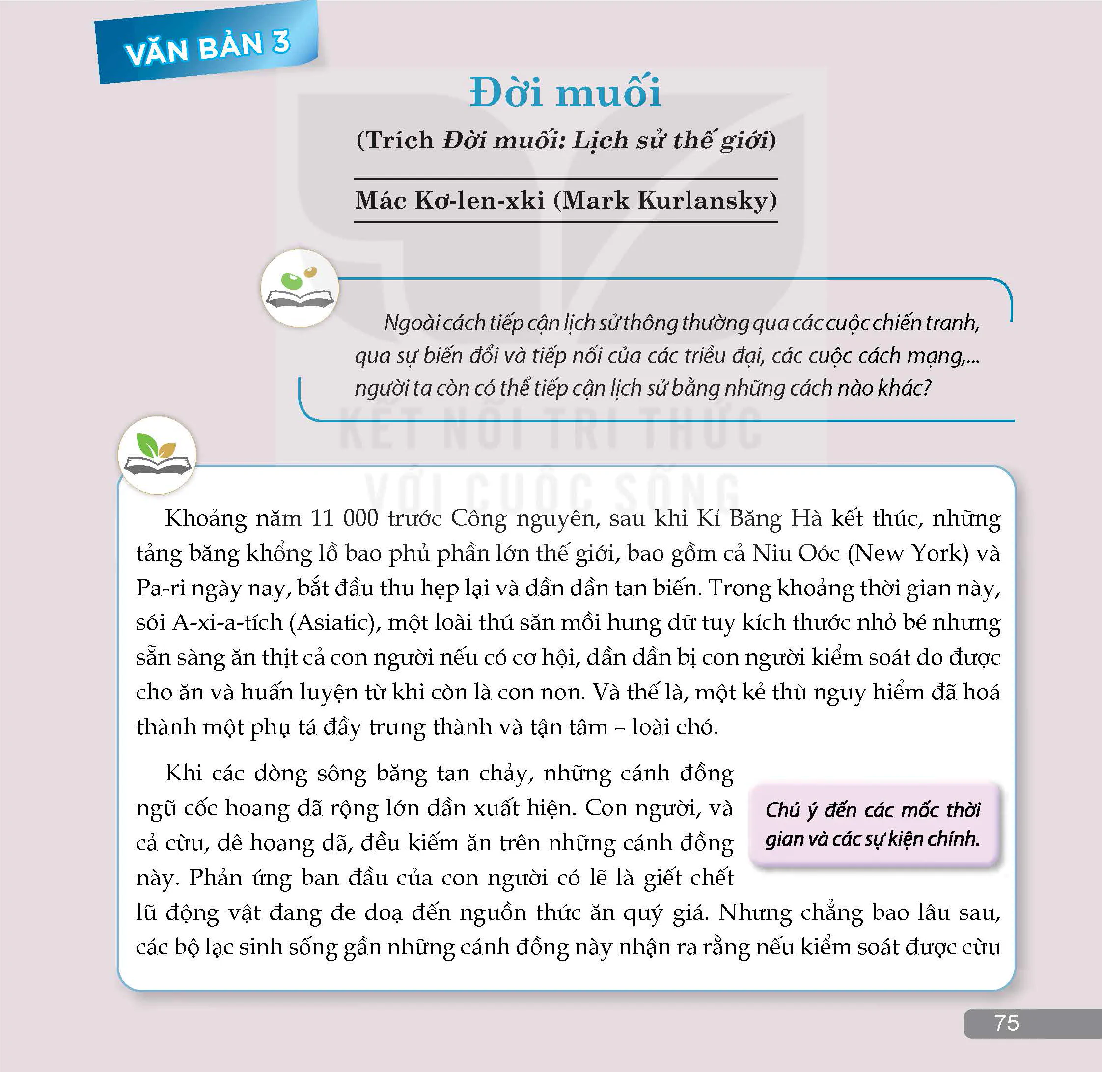 ĐỌC: Đời muối (Trích Đời muối: Lịch sử thế giới - Mác Kơ-len-xki - Mark Kurlansky)