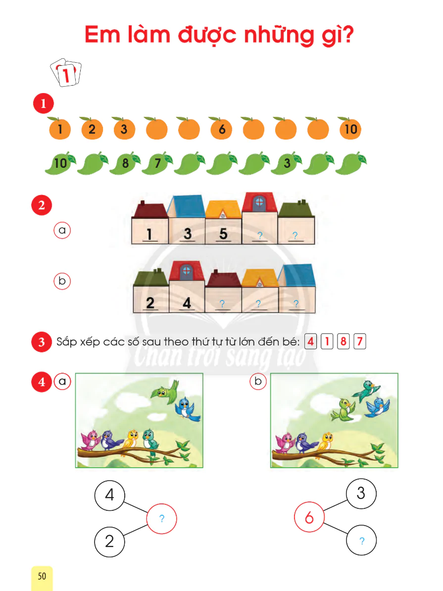 Em Làm Được Những Gì?