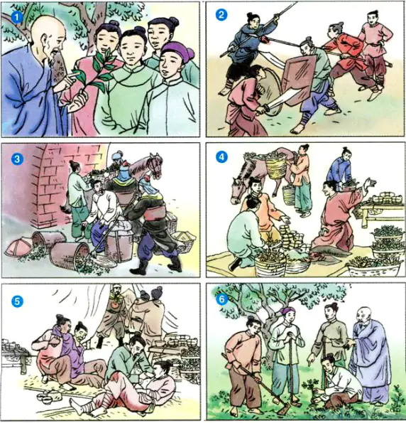 Kể chuyện: Cây Cỏ nước Nam