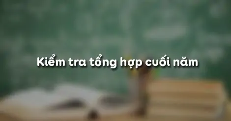 KIỂM TRA TỔNG HỢP CUỐI NĂM