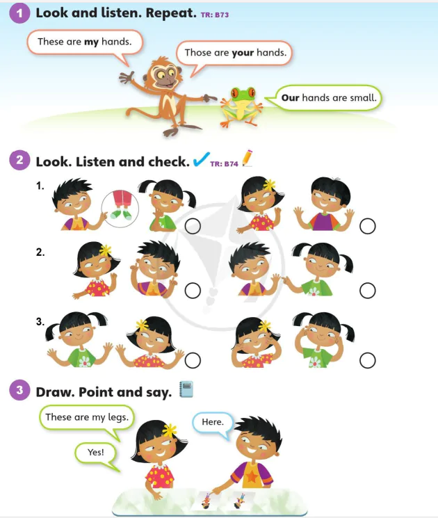 Language focus 1A