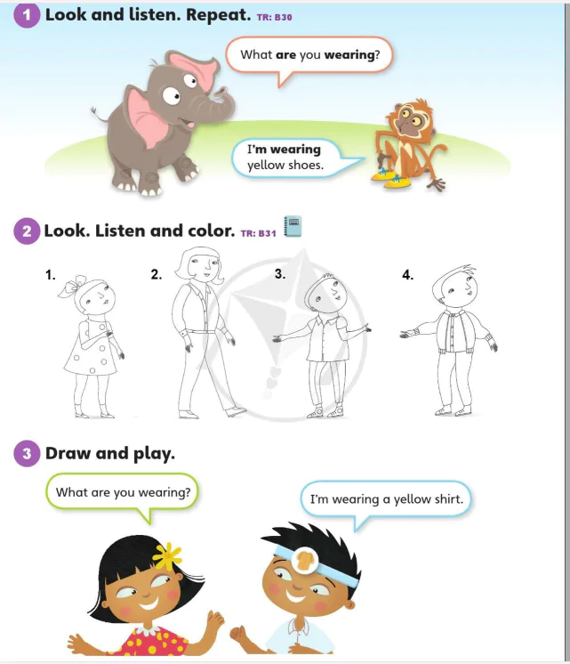Language focus 1A