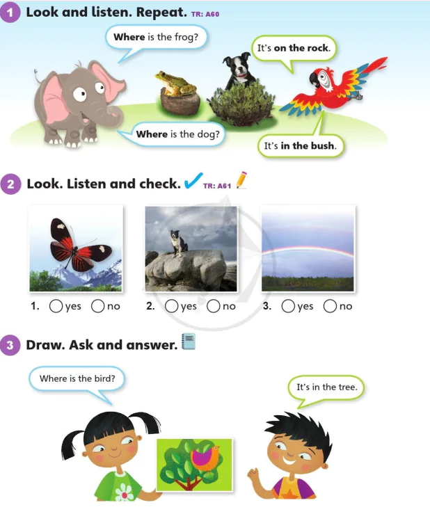 Language focus 2A