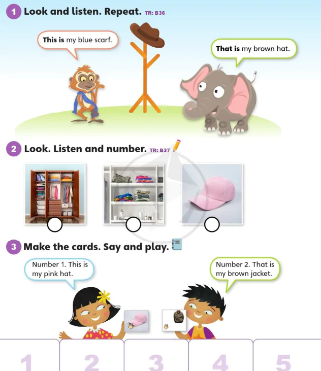 Language focus 2A