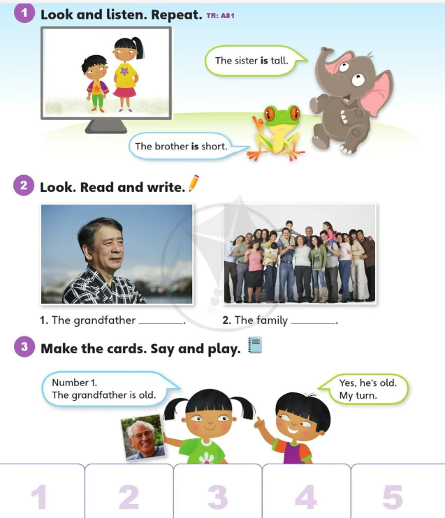 Language focus 2A