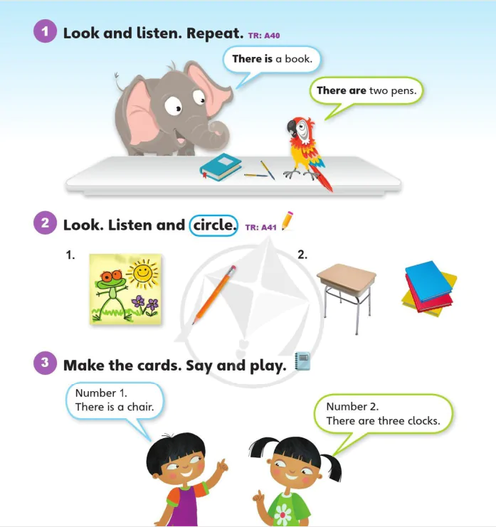 Language focus 2B