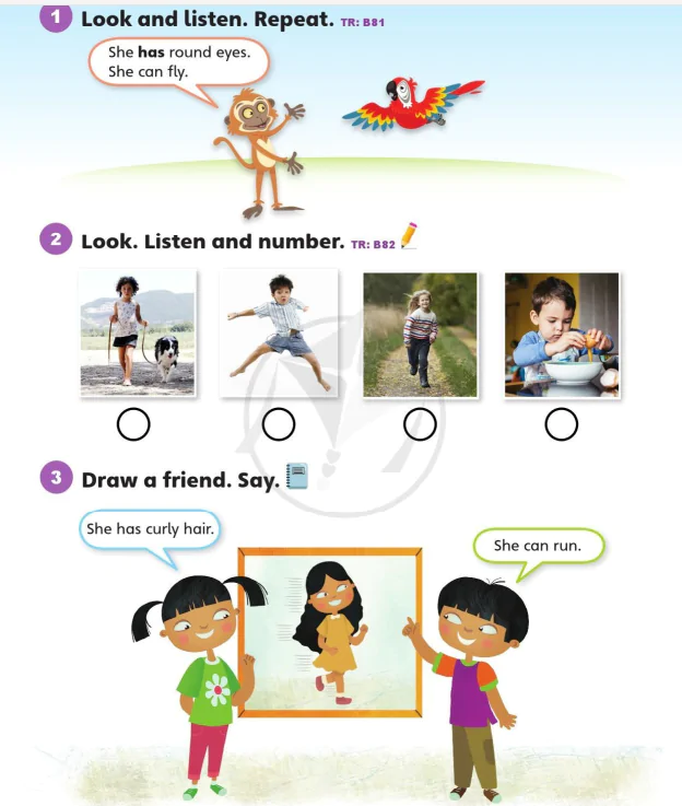 Language focus 2B