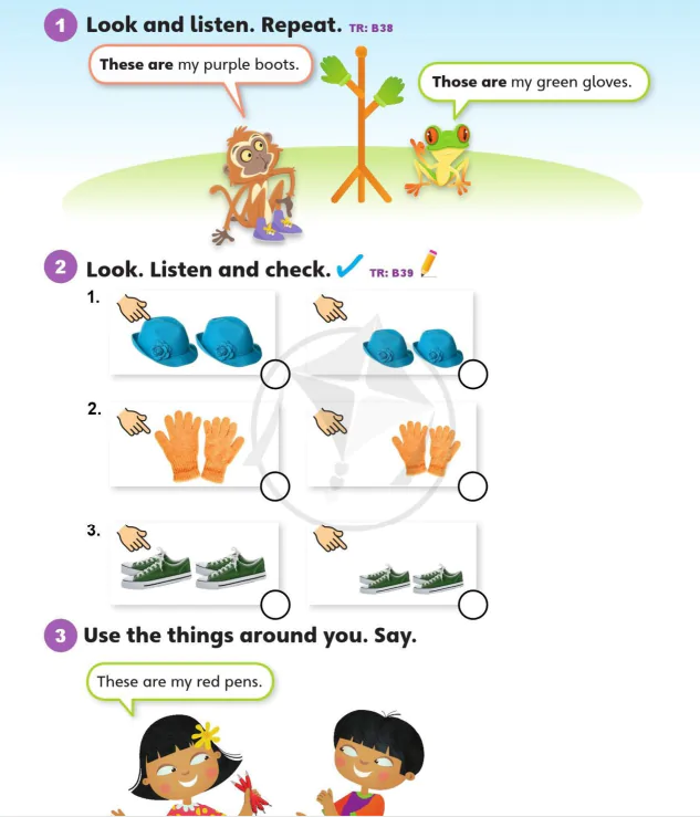 Language focus 2B