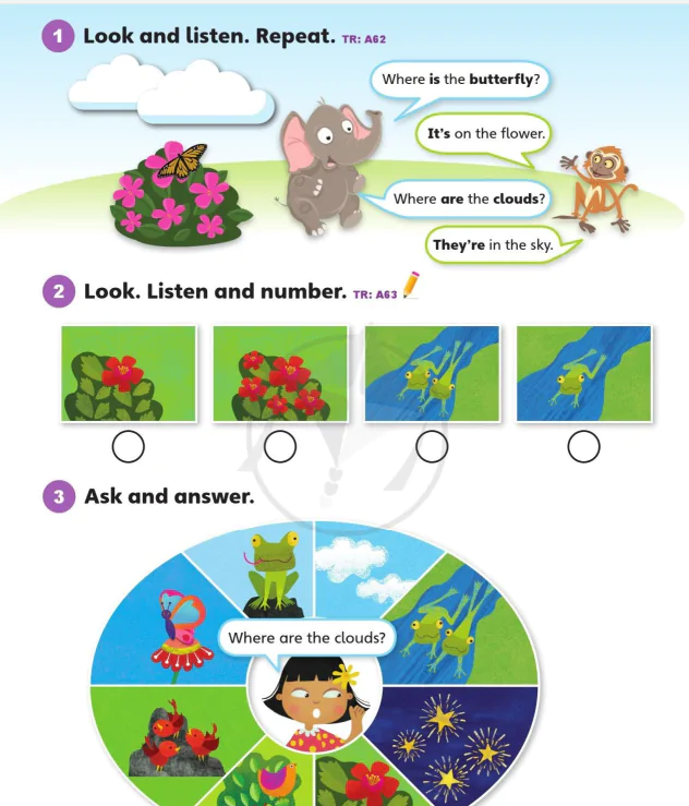 Language focus 2B