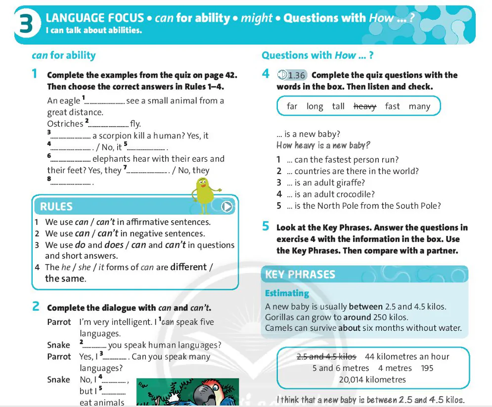 Language Focus (Page 43)